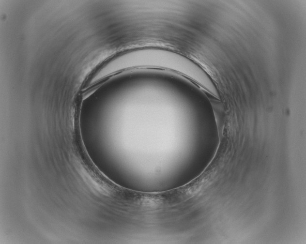 X0000088620350200706081527