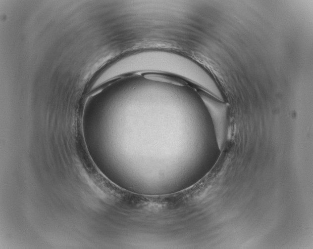 X0000088620352200706081527