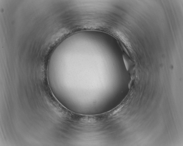 X0000088620354200706081527