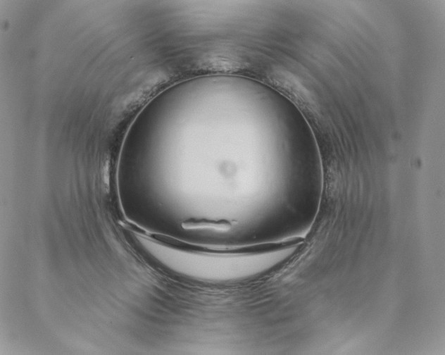 X0000088620358200706081527