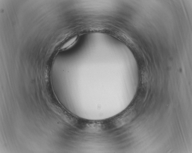 X0000088620362200706081528