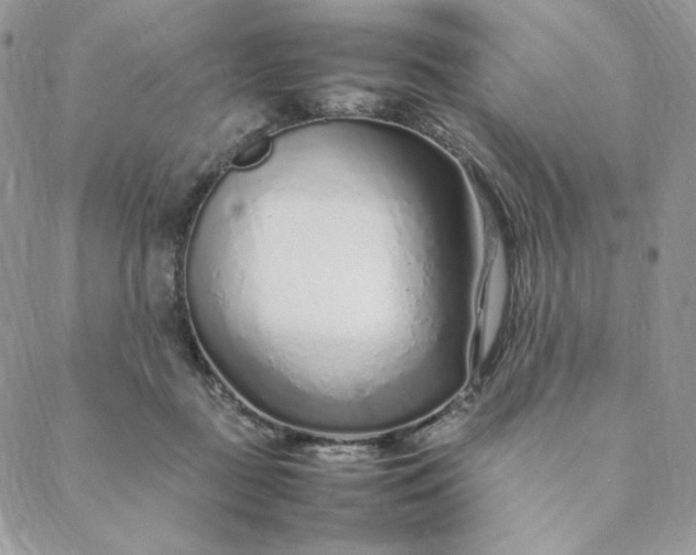 X0000088620363200706081528
