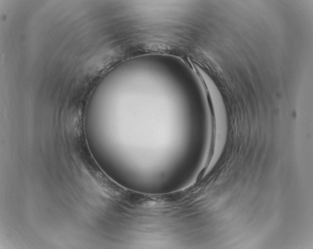 X0000088620364200706081528