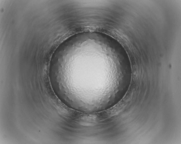 X0000088620369200706081528