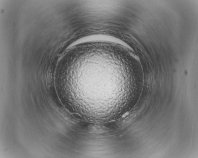 X0000088620372200706081528