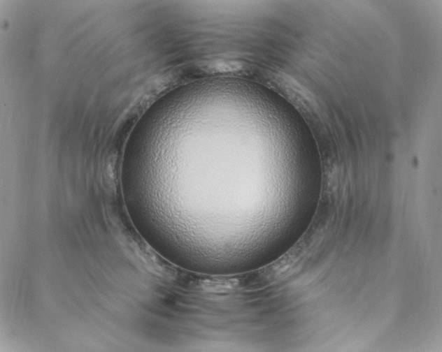 X0000088620373200706081528