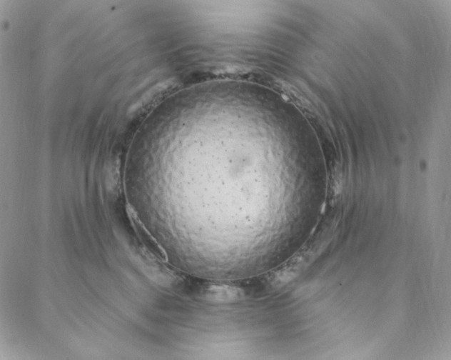 X0000088620376200706081528
