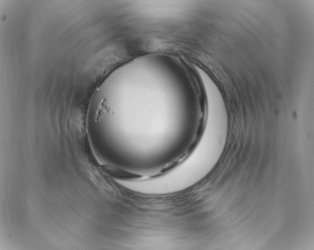 X0000088620380200706081528