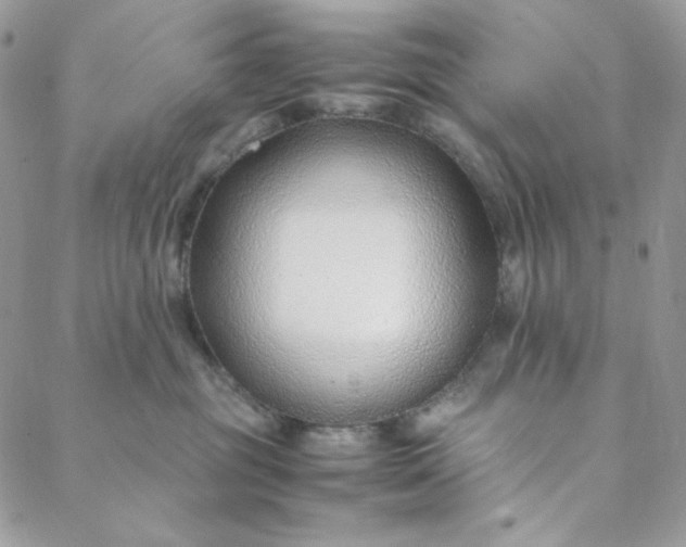 X0000088620381200706081528