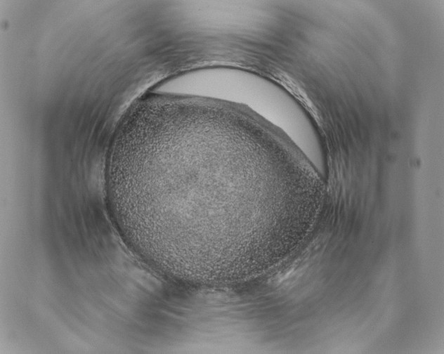 X0000088620386200706081527