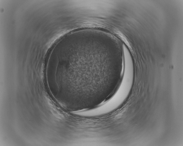 X0000088620387200706081527