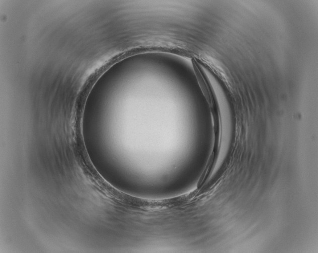 X0000088620388200706081527