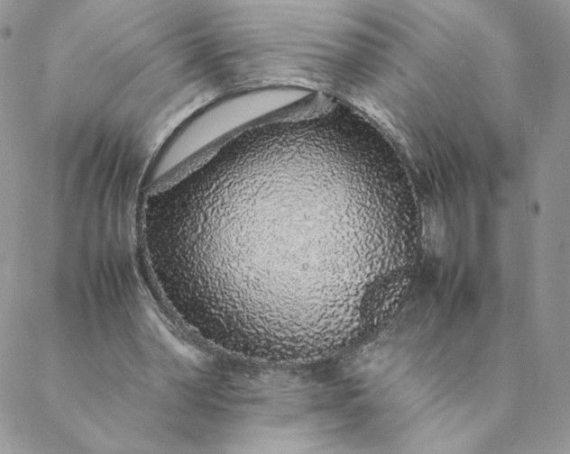 X0000088620390200706081527