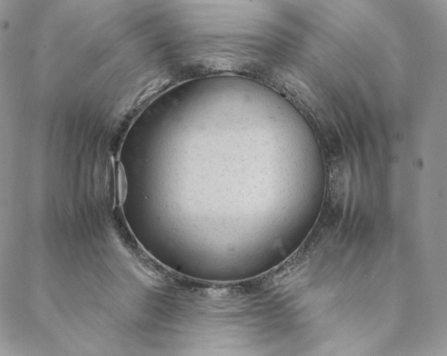 X0000088620406200706081527