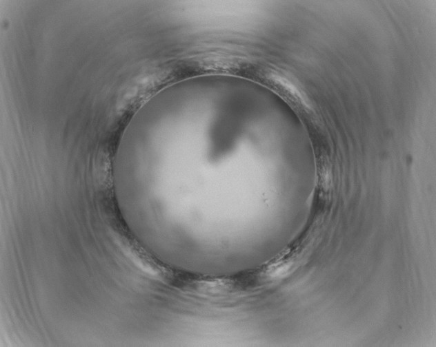 X0000088620411200706081527