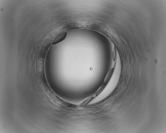 X0000088620413200706081527