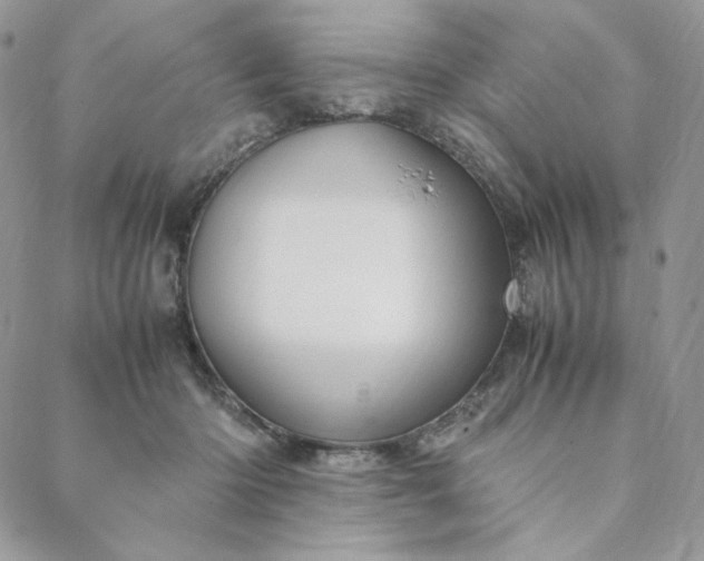 X0000088620414200706081527