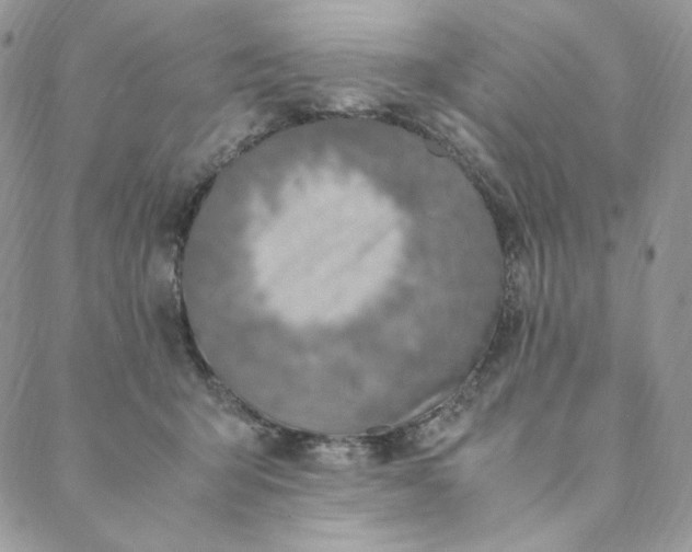 X0000088620415200706081527
