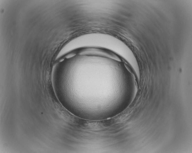 X0000088620417200706081527