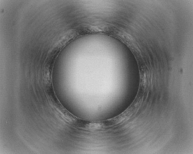 X0000088620418200706081527