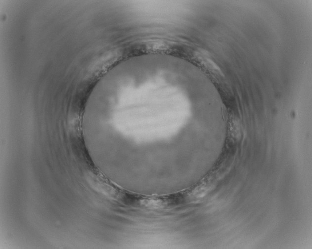 X0000088620419200706081527