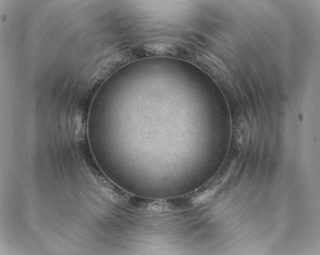 X0000088620420200706081527