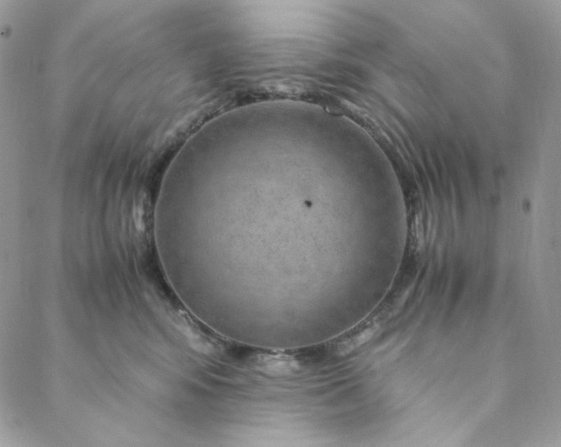 X0000088620424200706081526
