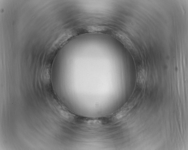 X0000088620426200706081526