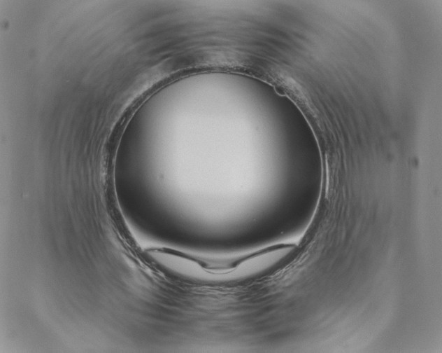 X0000088620435200706081526