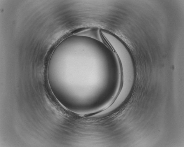 X0000088620440200706081526