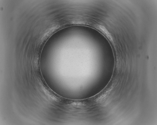 X0000088620441200706081526