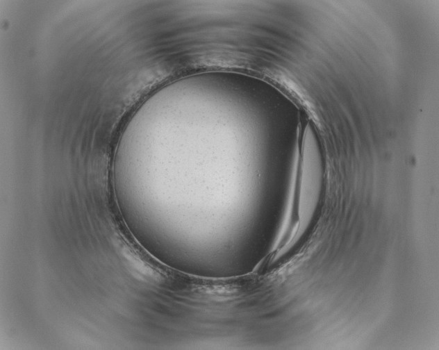 X0000088620445200706081526