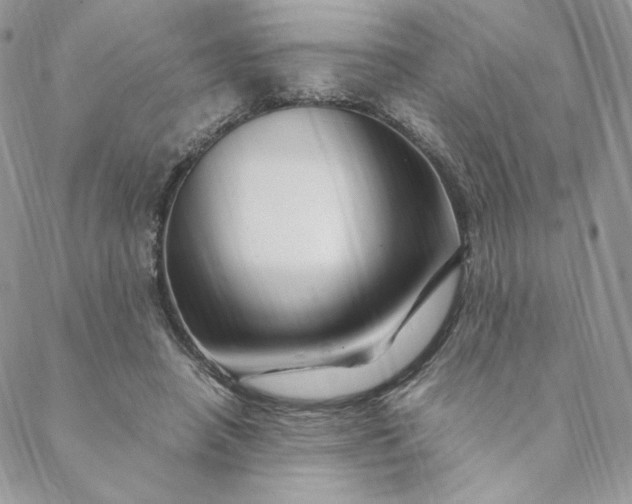 X0000088620450200706081526