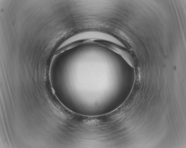 X0000088620452200706081526