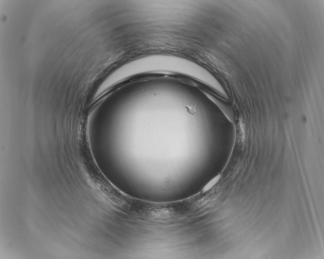 X0000088620456200706081526