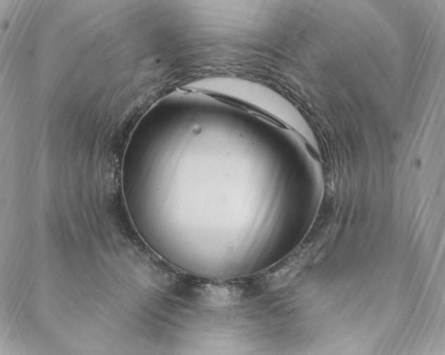 X0000088620464200706081526