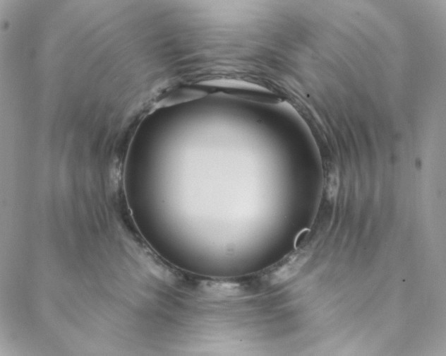 X0000088620476200706081526