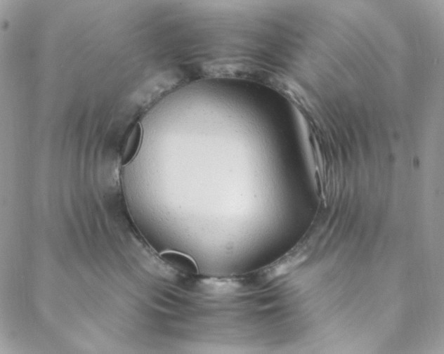 X0000088620477200706081526
