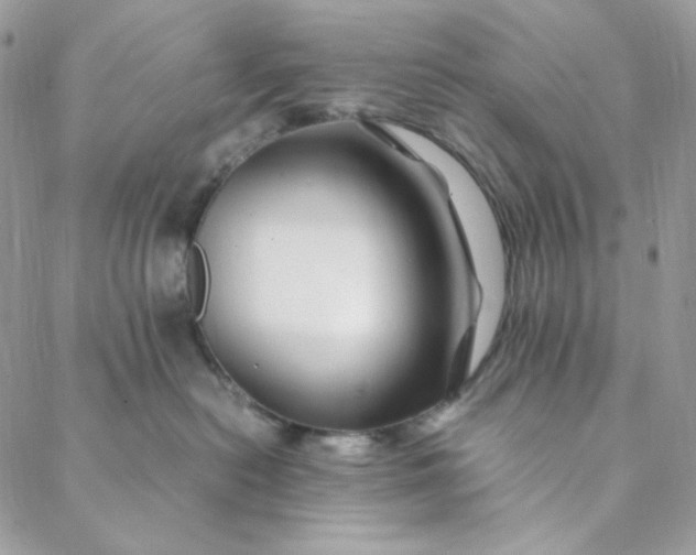X0000088620478200706081526