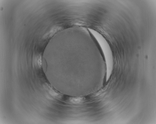 X0000088620479200706081526