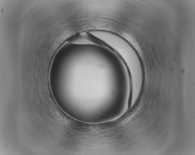 X0000088620481200706081526