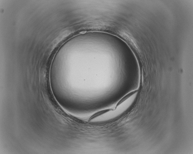 X0000088620483200706081525