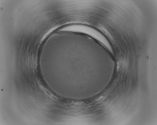 X0000088620484200706081525