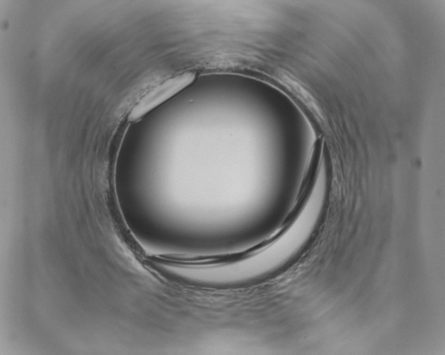 X0000088620485200706081525