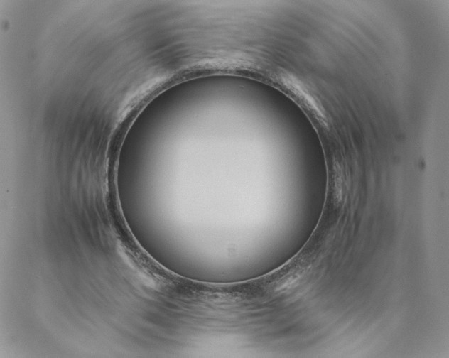 X0000088620486200706081525