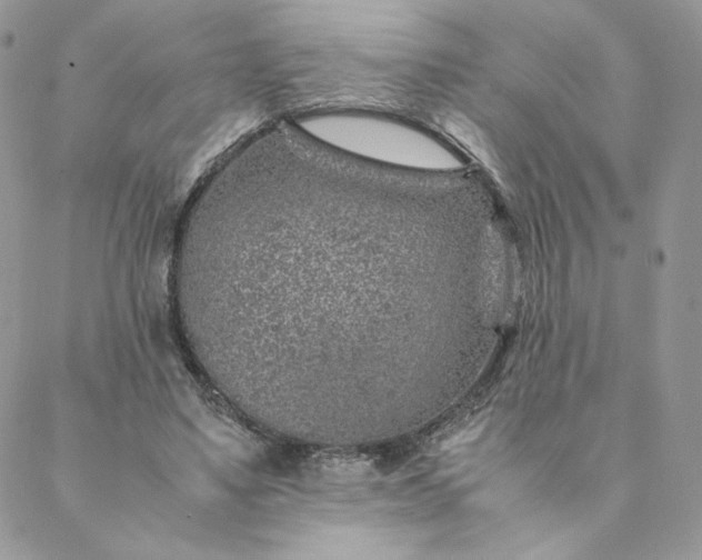 X0000088620491200706081525