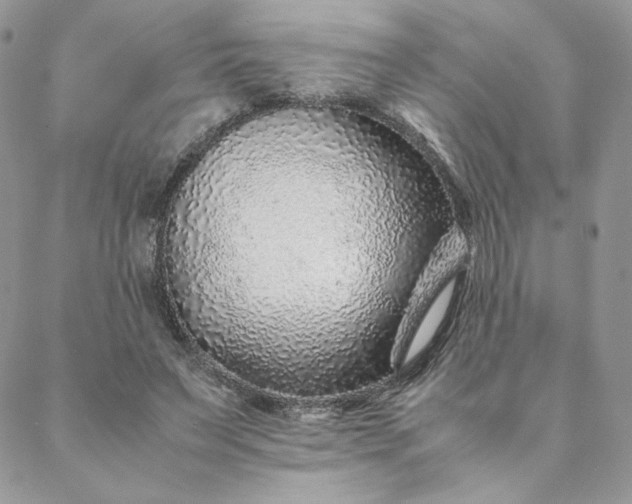 X0000088620495200706081525