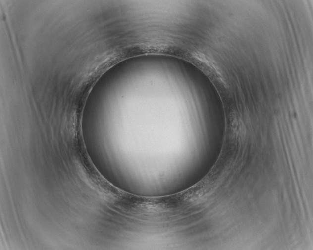 X0000088620498200706081525