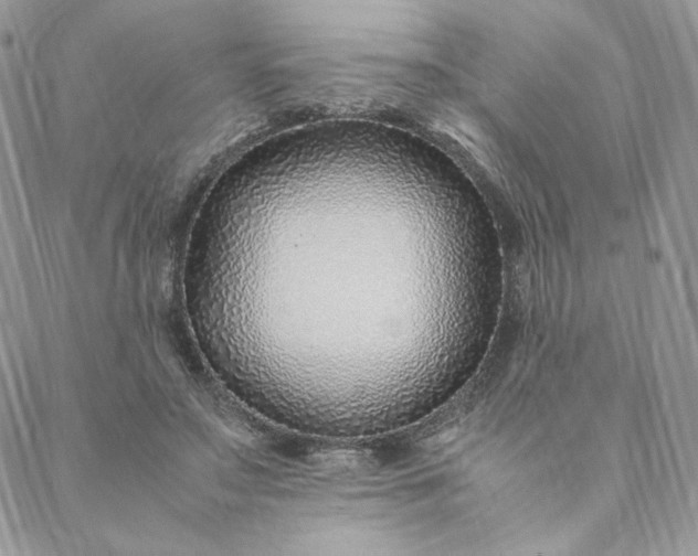 X0000088620499200706081525