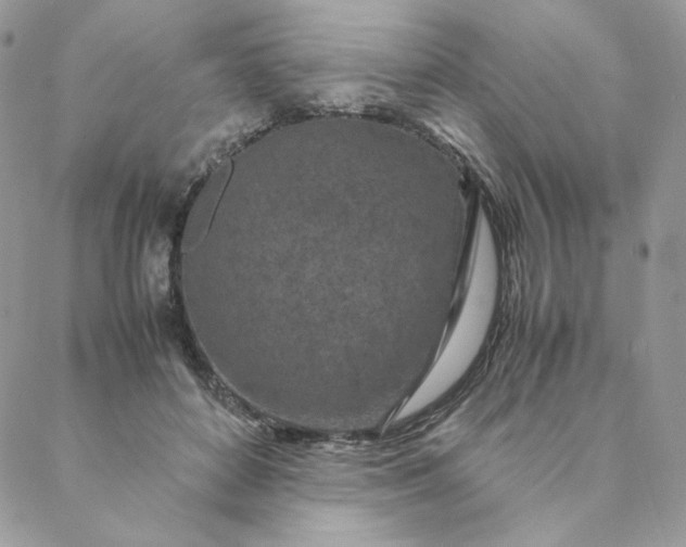 X0000088620504200706081525